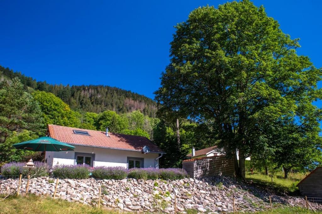 Hébergement de vacances Au Calme